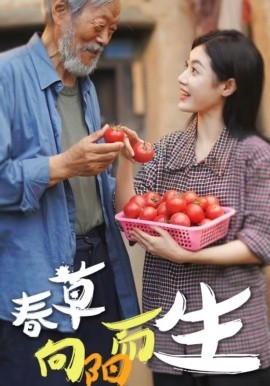 钢筋工宗师