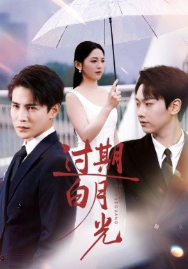 过期白月光