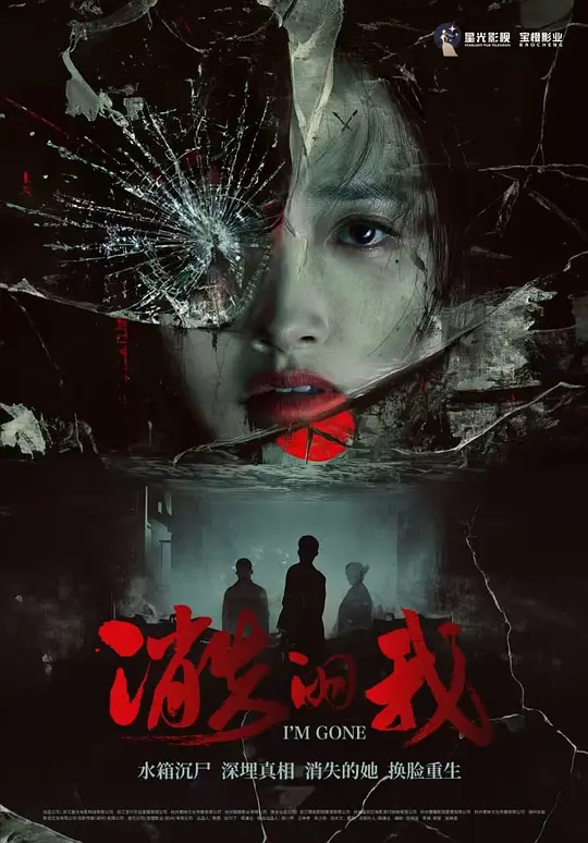 消失的我封面图
