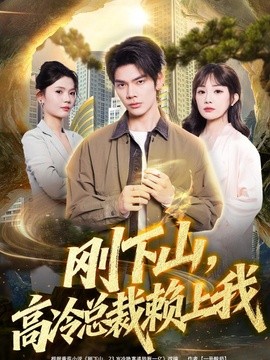 刚下山高冷总裁赖上我封面图