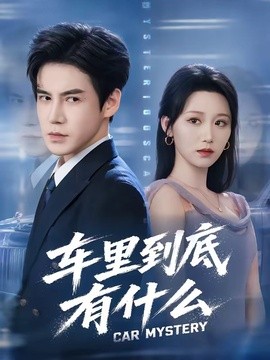车里到底有什么