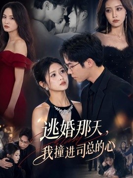 逃婚那天，我撞进司总的心
