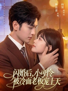 闪婚后，小可怜被冷面老板宠上天