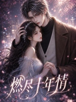 燃尽十年情