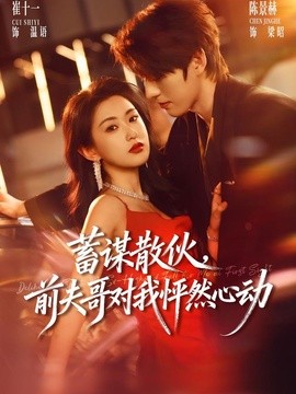 蓄谋散伙，前夫哥对我怦然心动