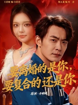 要离婚的是你，要复合的还是你