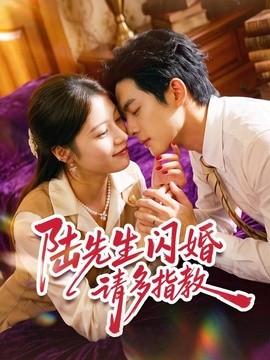 陆先生闪婚请多指教