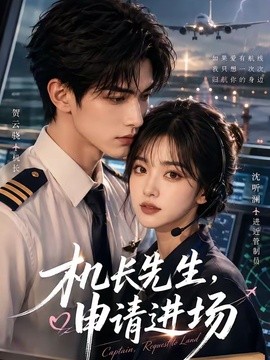 机长先生，申请进场