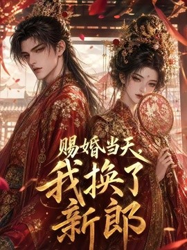 赐婚当天，我换了新郎封面图