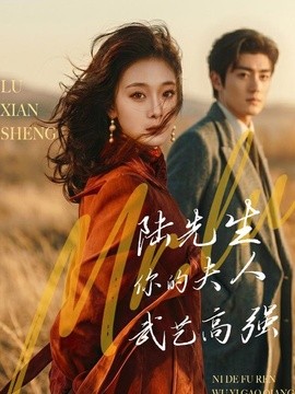 陆先生，你的夫人武艺高强
