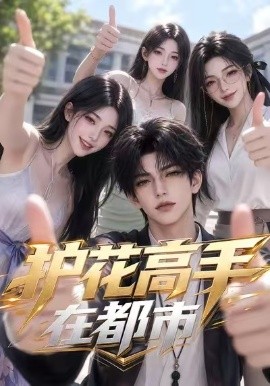 护花高手在都市