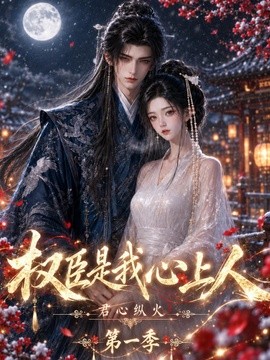 君心纵火权臣是我心上人第一季