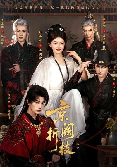 京阙折枝封面图
