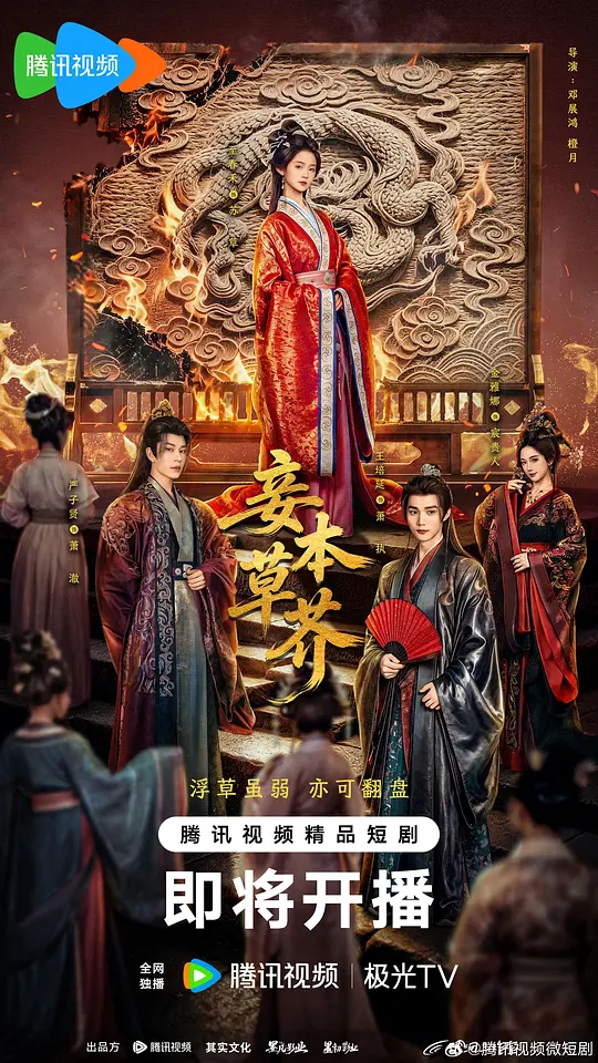 妾本草芥剧照