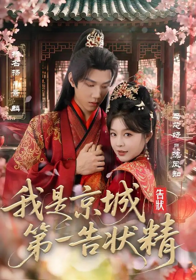 我是京城第一告状精 海报
