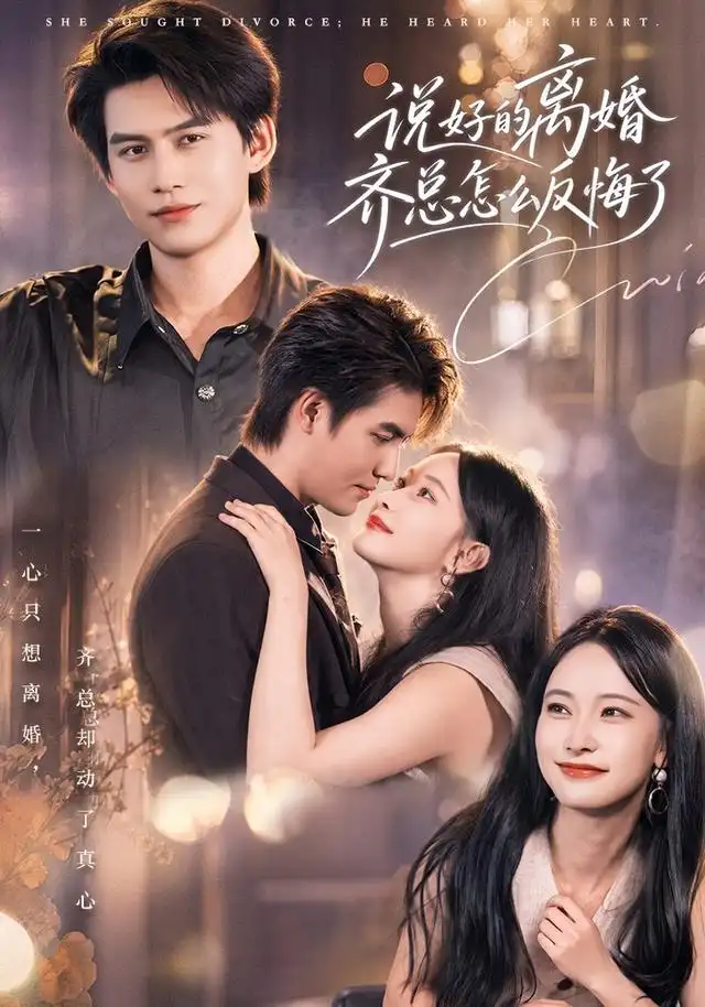 说好的离婚齐总怎么反悔了