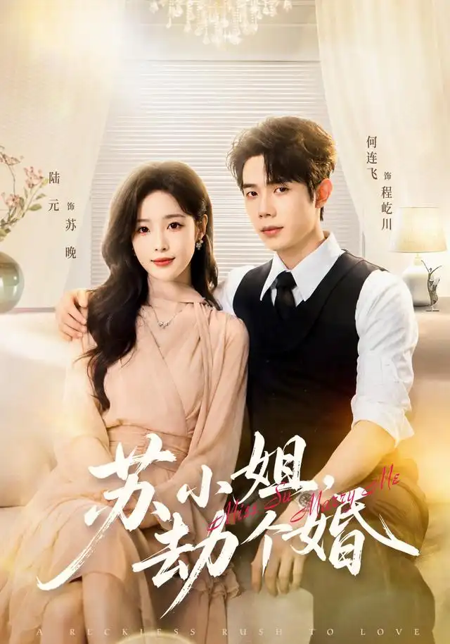 苏小姐，劫个婚封面图