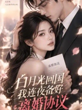 白月光回国我连夜备好离婚协议封面图