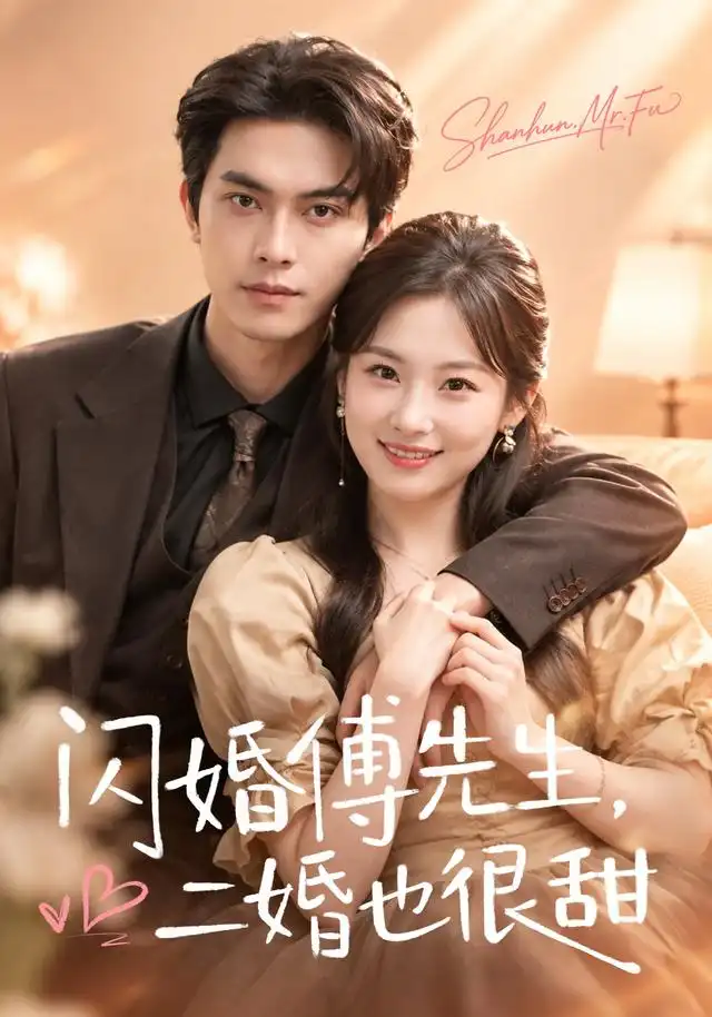 《闪婚傅先生，二婚也很甜》封面