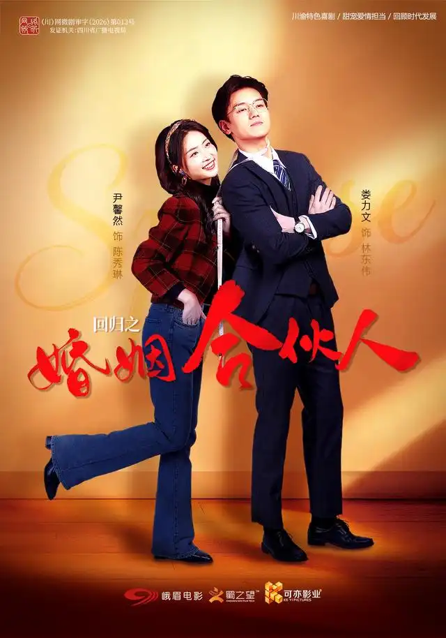 回归之婚姻合伙人（蓝光）