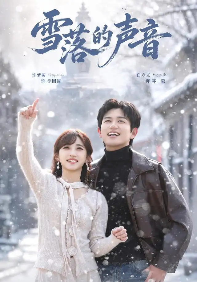 雪落的声音海报