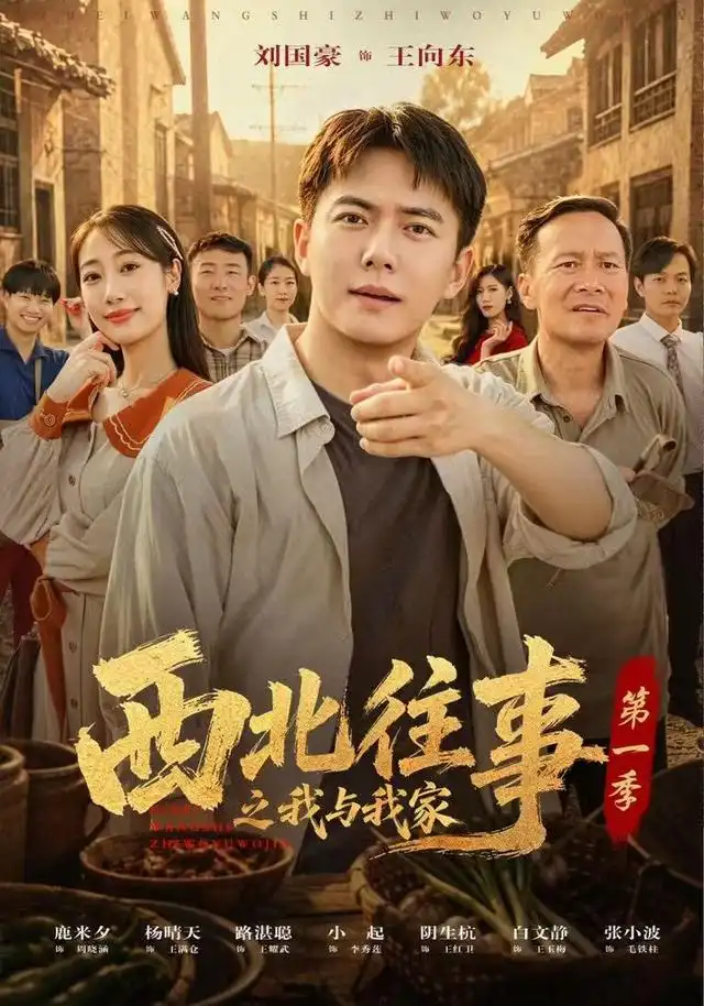 西北往事之我与我家封面图